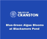 Blue-Green Algae Blooms at Blackamore Pond 